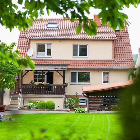 Ferienhaus Og1 "Westerwald Blick" Martinfeld Bagian luar foto